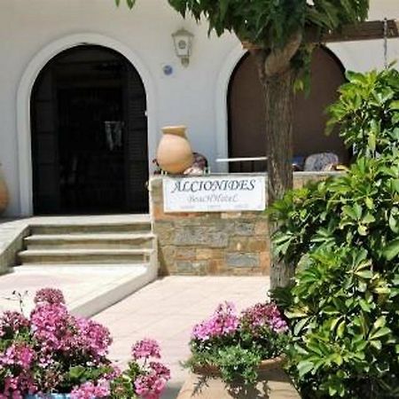 Alkyonides Beach Hotel Malia  Exterior photo