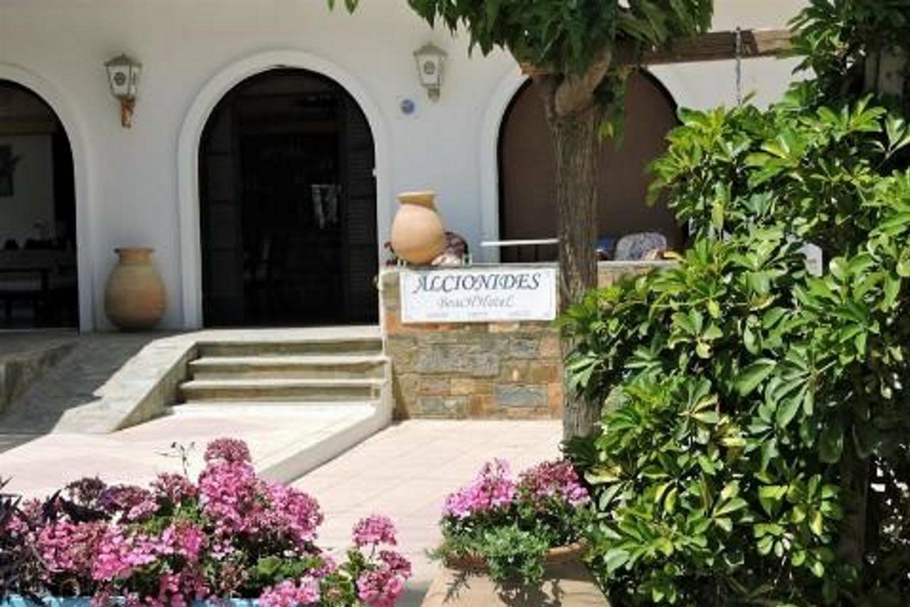 Alkyonides Beach Hotel Malia  Exterior photo